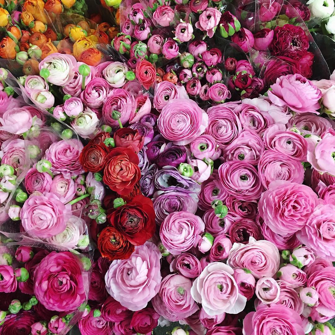 Pick your poison. ? ￼? @lateafternoon